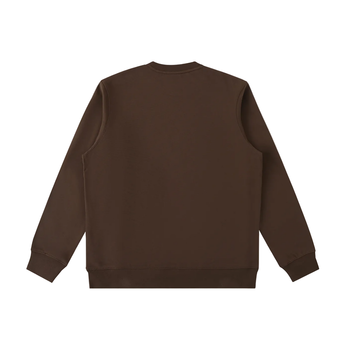 Circa 21': Brown/Coffee oversized heavyweight sweatshirt by Blackboard East, back view